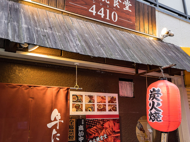 YΏĐH4410 VVg[̎ʐ^1