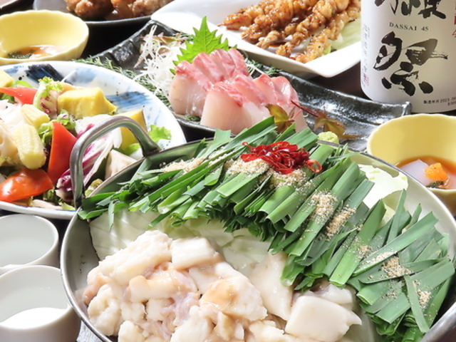 �͂������X �V�Y���X�̎ʐ^1