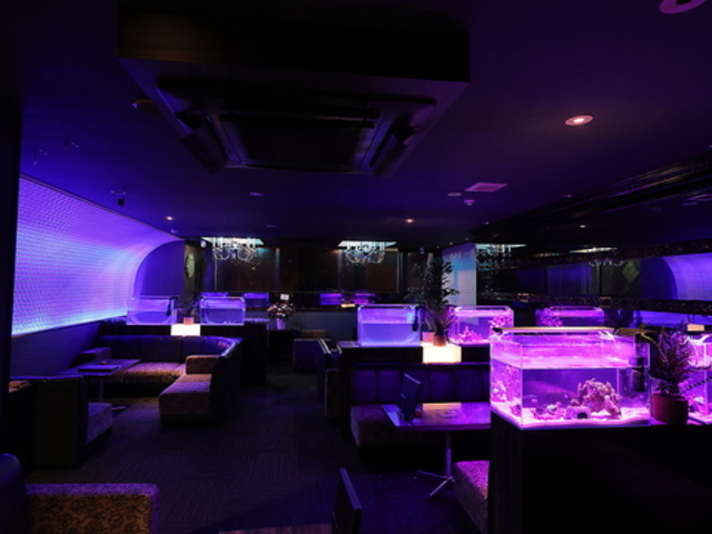 Shisha Lounge Y HYOU V[VEWqE̎ʐ^1