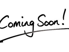 �p�����[���̎ʐ^1