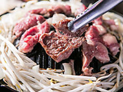 �ˎ�[���_�̎ʐ^1