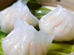 �`���C�i�_�C�j���O�ʍ؂̎ʐ^1