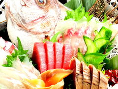 ������ ���c�X�̎ʐ^1