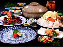 ���t�̖��ȏh �������̎ʐ^1