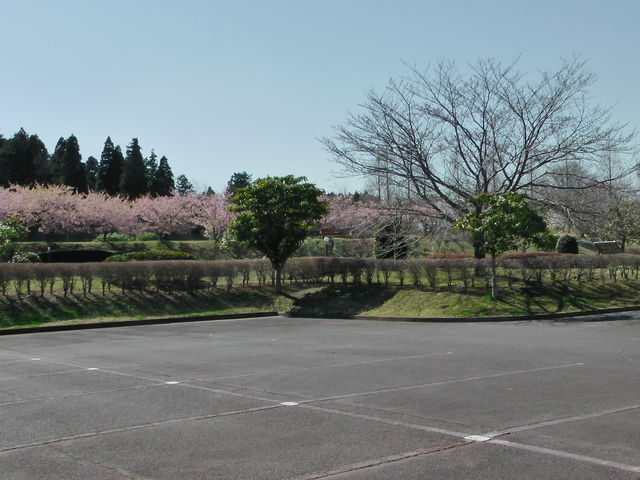 ���ƕ��̋u����