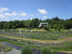 �R�Ӓ��ʒ����_�������̎ʐ^1