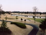 �x�M�S���t��y���̎ʐ^1