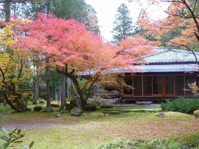 �~�c���뉀�̎ʐ^1