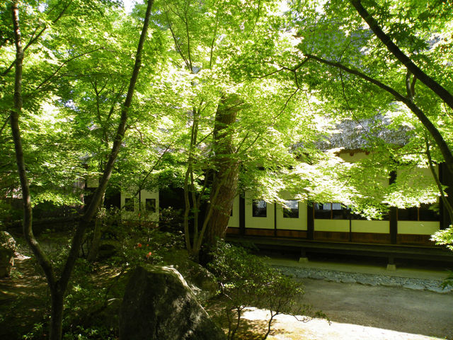 ���ܖ썂���ߘY�L�O���p��