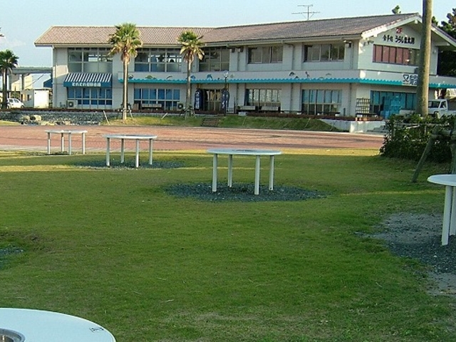 ���ؑ̌��̗��C�Ί�