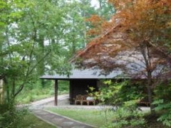 �������̎ʐ^1