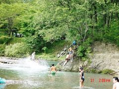 �Ȃ炱���̗��̎ʐ^1