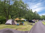 �ԉ��I�[�g�L�����v��̎ʐ^2