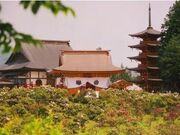 �P��@�̎ʐ^2