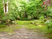 �~�c���뉀�̎ʐ^3