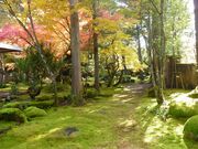 �~�c���뉀�̎ʐ^4