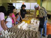 mxeBEǂn/mxeB~[WA̎ʐ^3