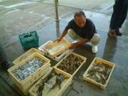 四日市市富洲原魚類共同販売所の写真1