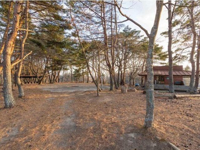 �����l�����U�w�K�Z���^�[ �L�����v��_�����l�����U�w�K�Z���^�[�@�L�����v��