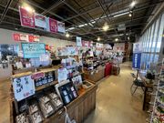 �����Ǖ��Y�ك��s�m���̗��̎ʐ^3