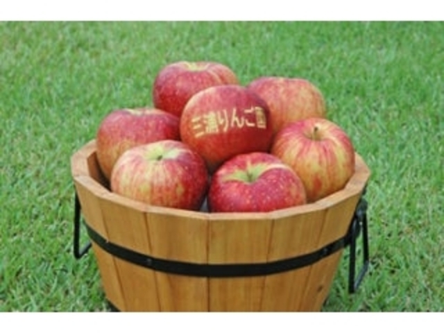 �O�Y��񂲉��^��񂲂̎ʐ^1