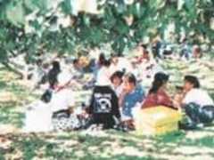 ���R��ό��_���^�Ȃ��̎ʐ^