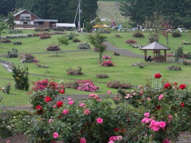 �����b�c���[�Y�J���g���[