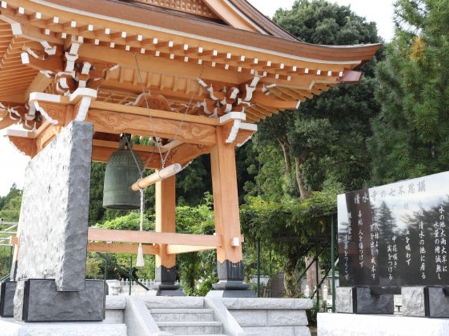 ������_������