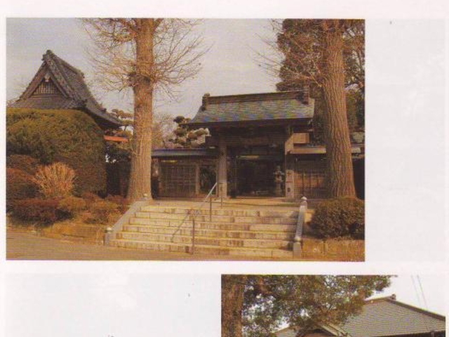 �����R���o���̎ʐ^1