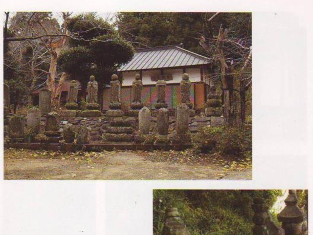 �y���R���T���̎ʐ^1