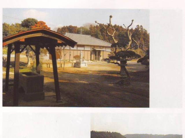 �a�c�R�������̎ʐ^1