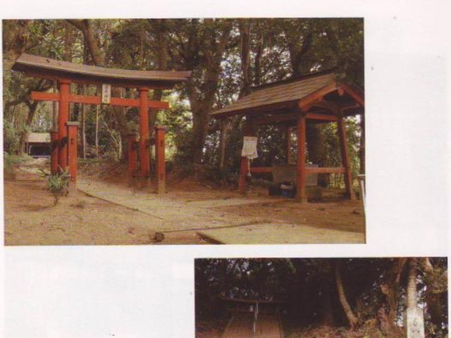 ���}��_(��ˎR�n��)�̎ʐ^1