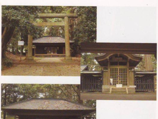 �F��_��(���Ì��n��)�̎ʐ^1