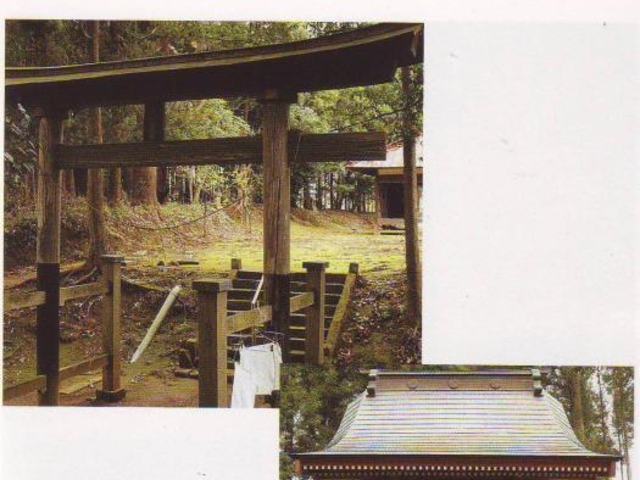 �܏��_�Ђ̎ʐ^1