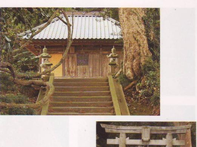 �F��_��(�J�O�q�n��)�̎ʐ^1