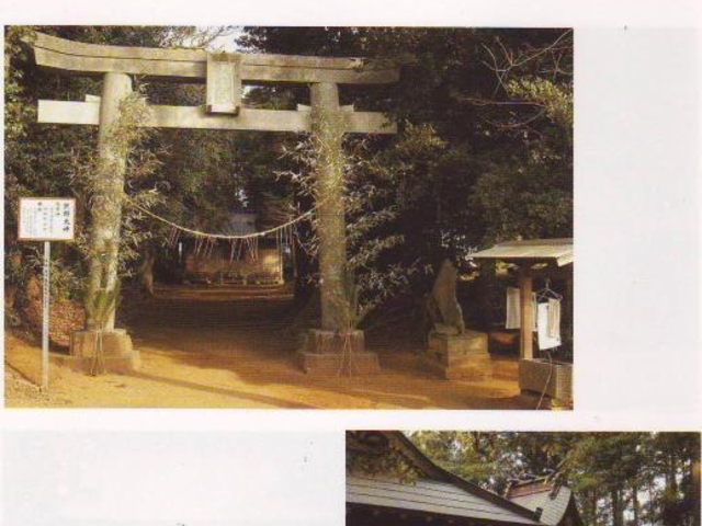 �F��_��(�o���n��)�̎ʐ^1