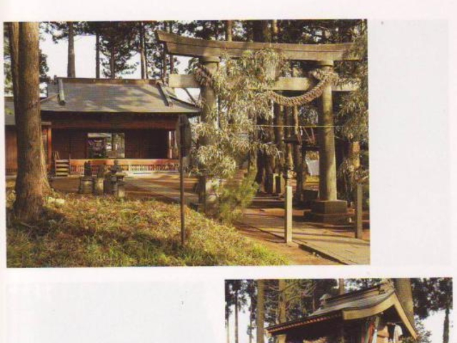 ��א_��(�\�]�O�n��)�̎ʐ^1