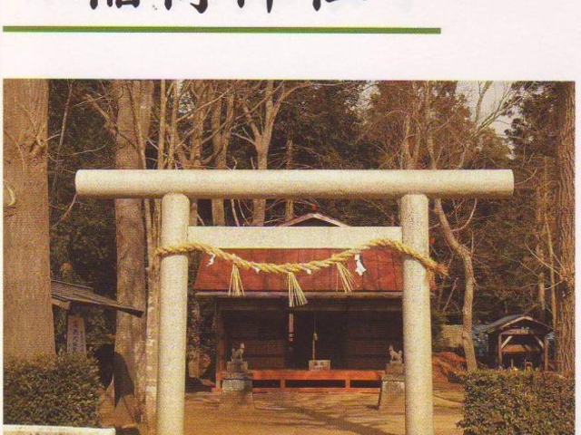 ��א_��(�э��n��)�̎ʐ^1