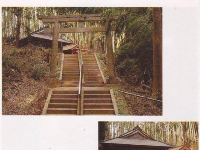 �F��_��(�ԑq�n��)�̎ʐ^1