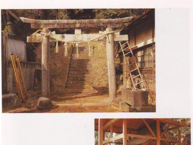 ���c�Y���(�э��n��)�̎ʐ^1