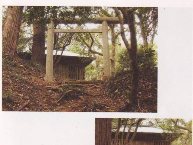 ���c�Y���(�ܔ��c�n��)�̎ʐ^1