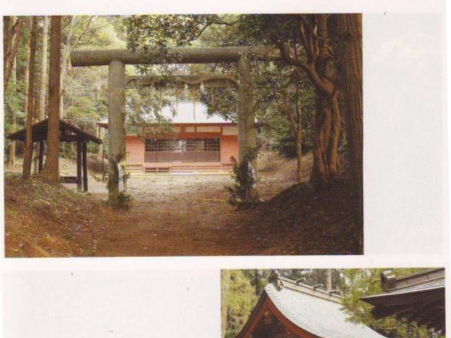 ��{��_�̎ʐ^1