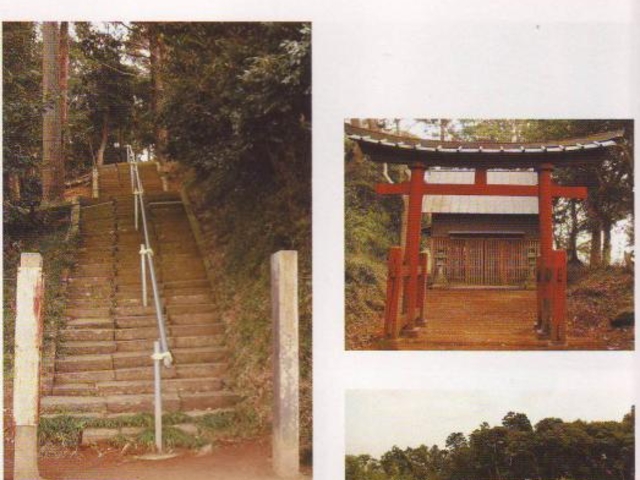 ������_�̎ʐ^1