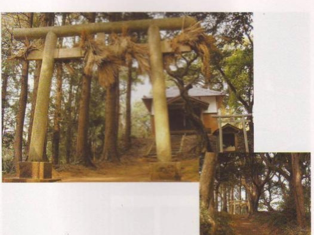 ���_�Ђ̎ʐ^1