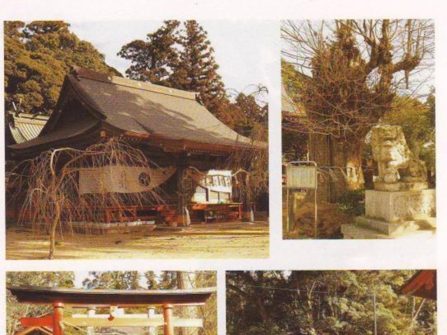 ����_�Ђ̎ʐ^1