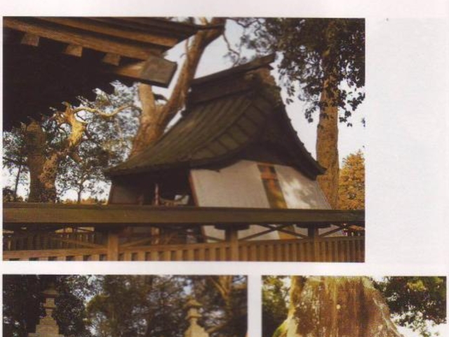 ���}��_(��n��)�̎ʐ^1