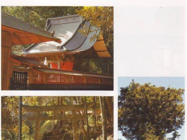 ���}��_(���c�n��)�̎ʐ^1