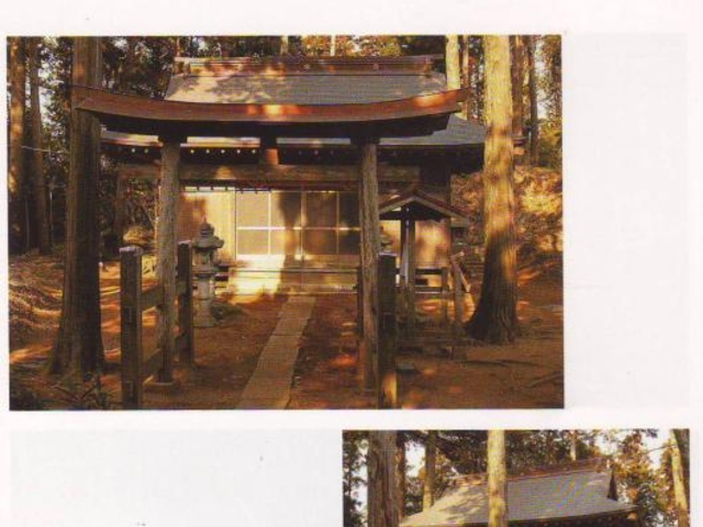 ���c�Y���(��ؓ��n��)�̎ʐ^1