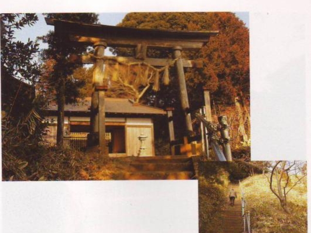 �t���_�Ђ̎ʐ^1