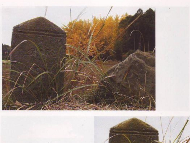 ��ԎЂ̔�̎ʐ^1